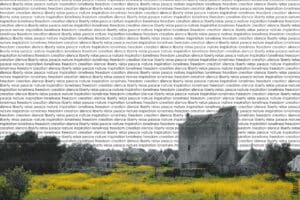 from agriculture to tourist culture