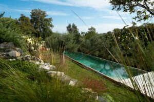 TRULLO FOGLIARELLA PUGLIA
