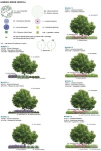 progetto rigenerazione urban