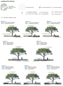 progetto rigenerazione urbana